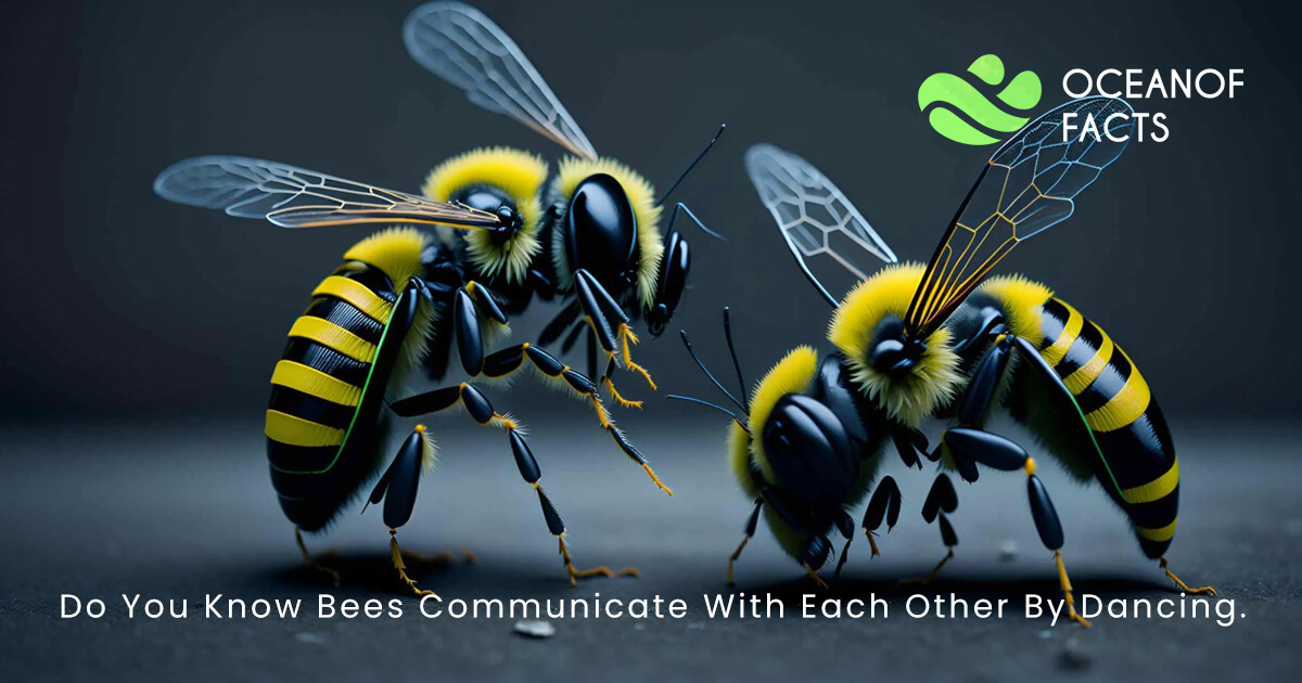 Do You Know Bees Communicate With Each Other By Dancing.