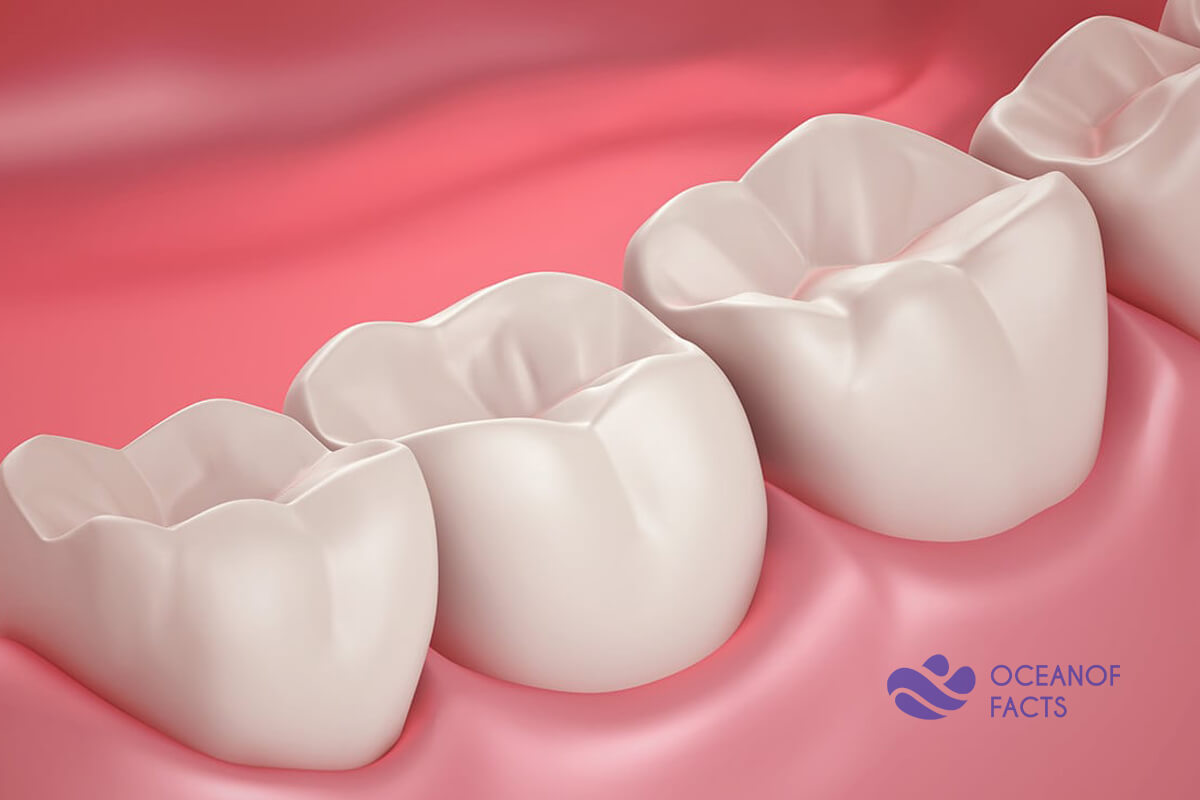 Teeth Are Coated In Enamel Which Is Not A Living Tissue.