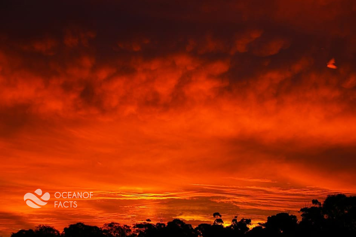 Do You Know The Sunset Under The Clouds Looks Like The Sky Is On Fire.